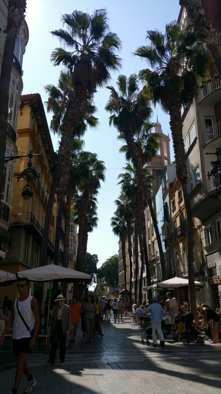 Calle Puerta del Mar